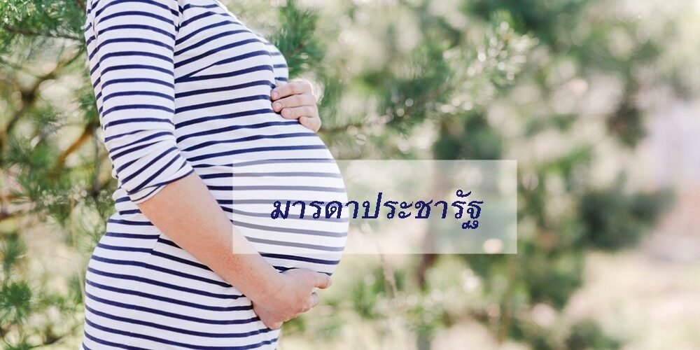 สอนการรับข้อมูลและประมวลผลเป็นภาพ